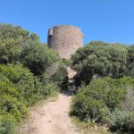 Torre di Vignola, à Vignola Mare